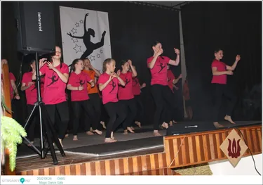 Magic Dance Jótékonysági Gála Öskü