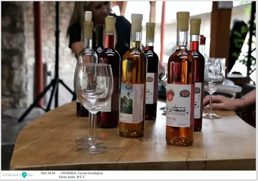 M.É.Z. zenekar és Sápi borkostoló estje