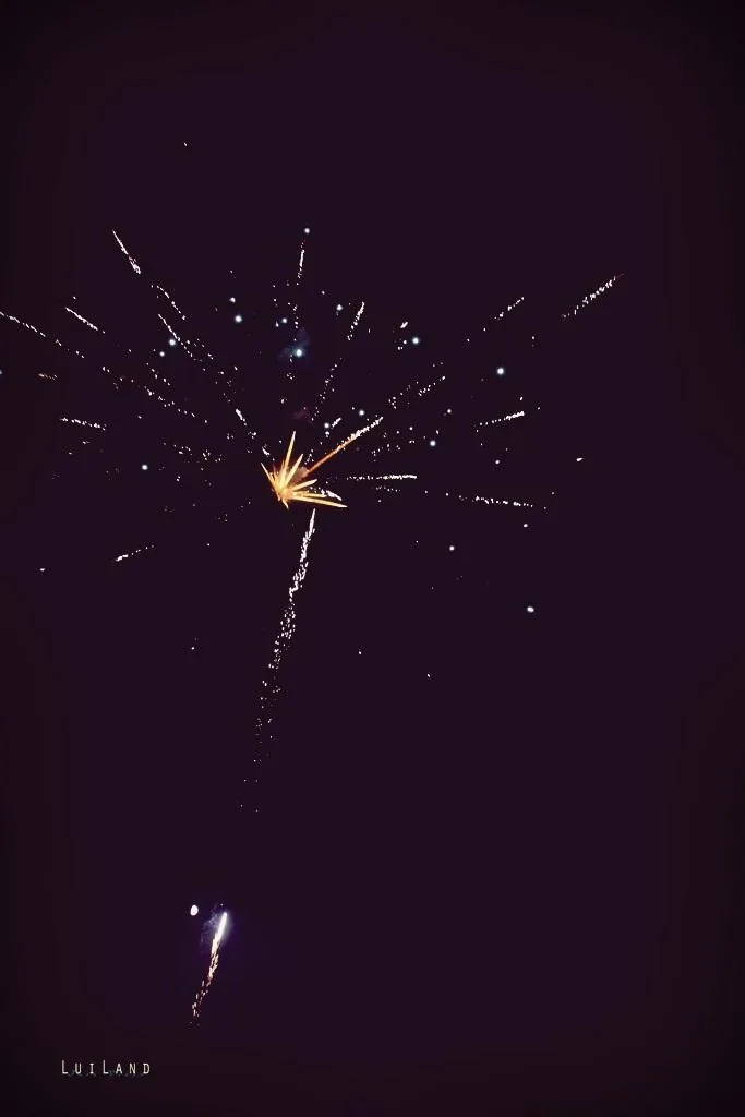 Nyárbúcsúztató főzőverseny, Fotó: LuiLand 