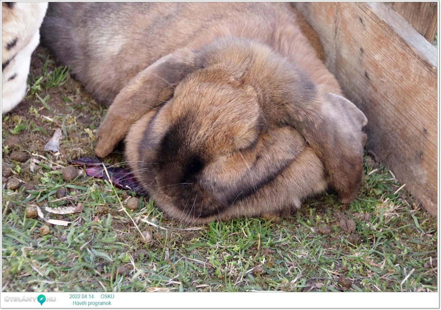 2022.04.14. csütörtöki nap Fotók: Útirány.hu