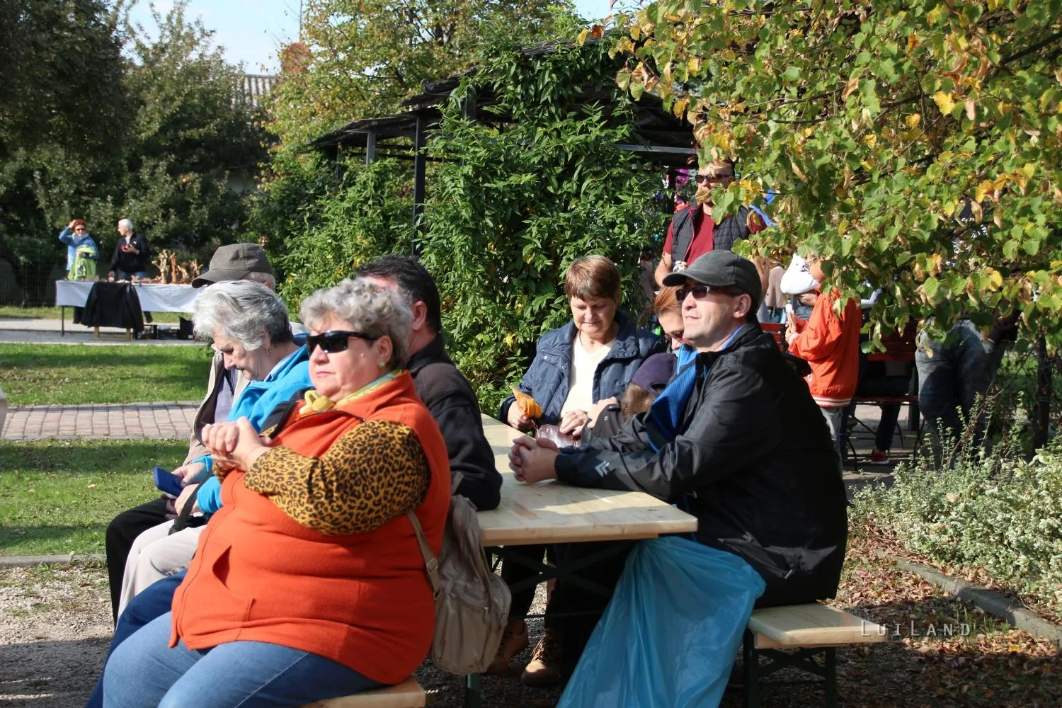 Kora délután, fotók: BakonyiHírek