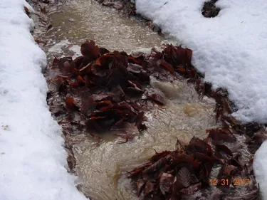 Kedvcsináló képek tavalyról! Fotók: Horváth Attila