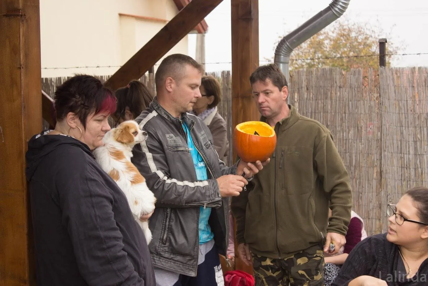 Fotók 1 album: Babai Lalinda