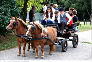 Fotók, Útirány.hu