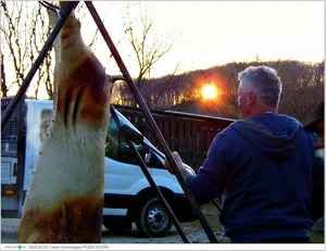 Fotók, Útirány.hu