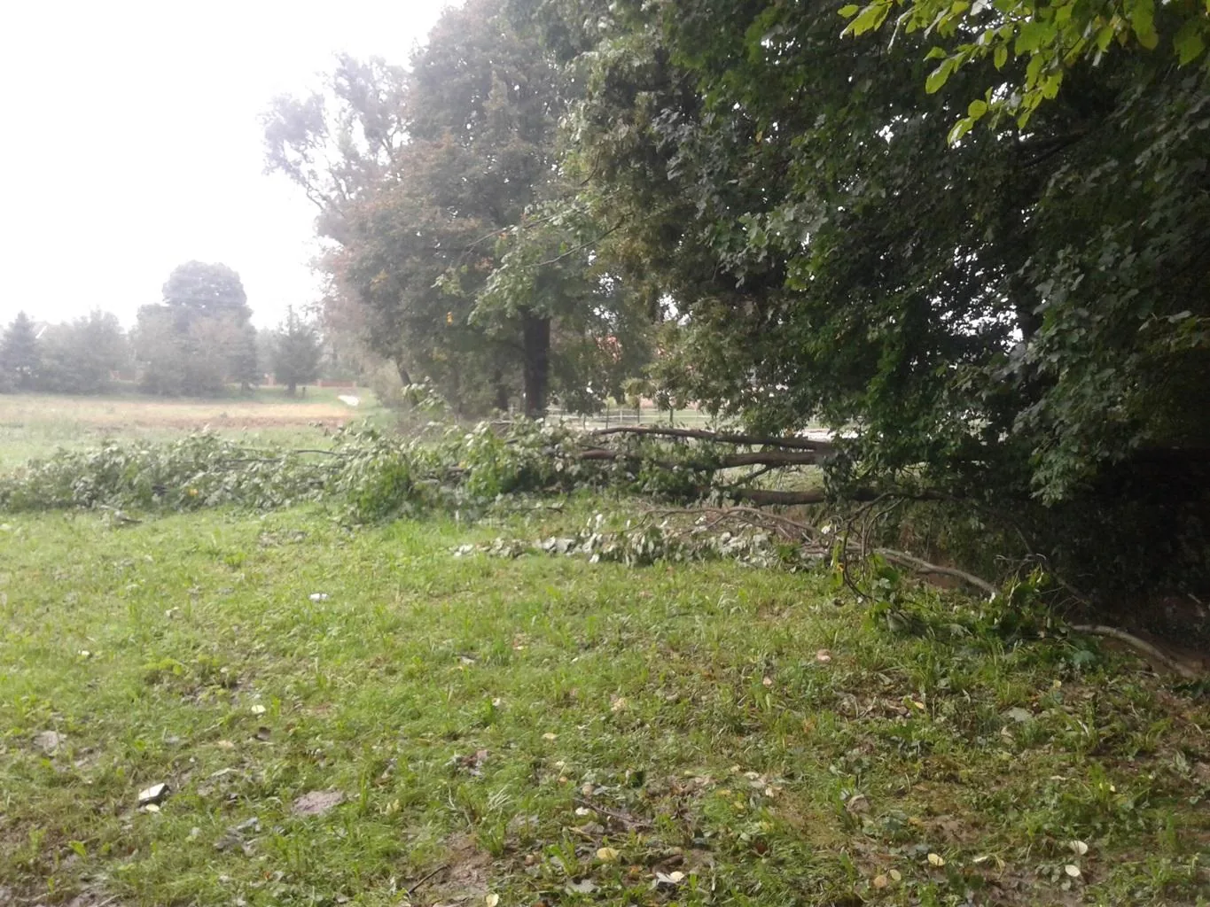 Gerence Pénzesgyőr 2018.09.04.