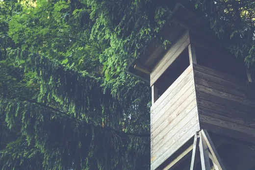 'Verga Zrt. hirdetménye' cikk borítóképe