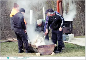 Fotók, Útirány.hu