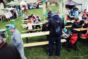 12. Medvehagymás napok. Fotók: Sárfi Lajos