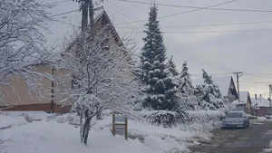 Fotó: Veinperlné Kovács Andrea