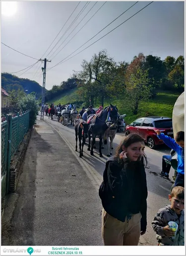 Szüreti felvonulás és Bál