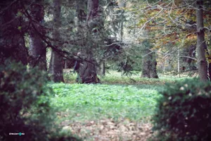 Szentmise után körséta az arborétumban. Fotók: Útirány.hu