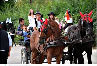 Szüretelő falunap borítóképe
