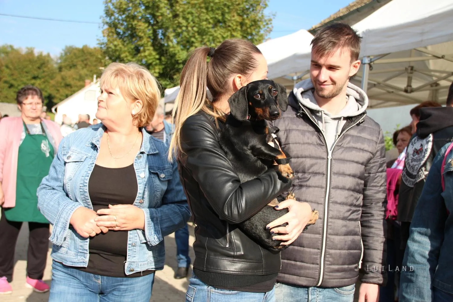 Kora délután, fotók: BakonyiHírek