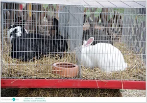 Fotók az eseményről: