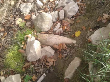 Képek: Pénzesgyőr Önkormányzat