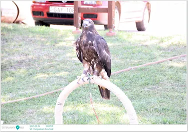 Képek: Útiárny.hu