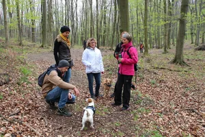 Fotók és kisfilm: Útirány.hu