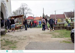 Keresd a nyuszit! Családi Nap borítóképe