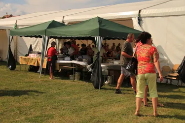 XIV. Bakonyi Krumpliszüreti és Művészeti Fesztivál 2016
