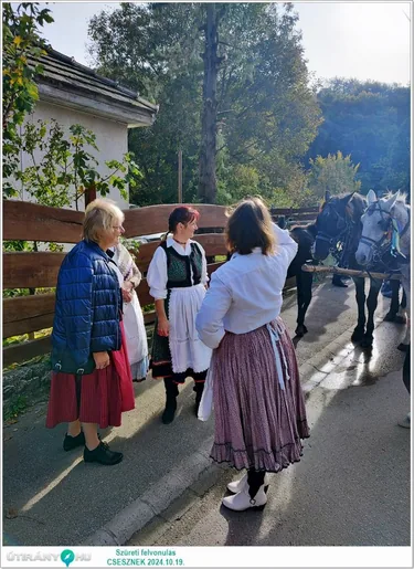 Szüreti felvonulás és Bál