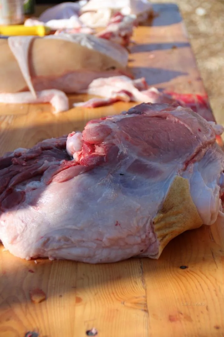 Fotók: Útirány.hu