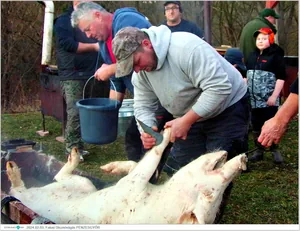 Fotók, Útirány.hu