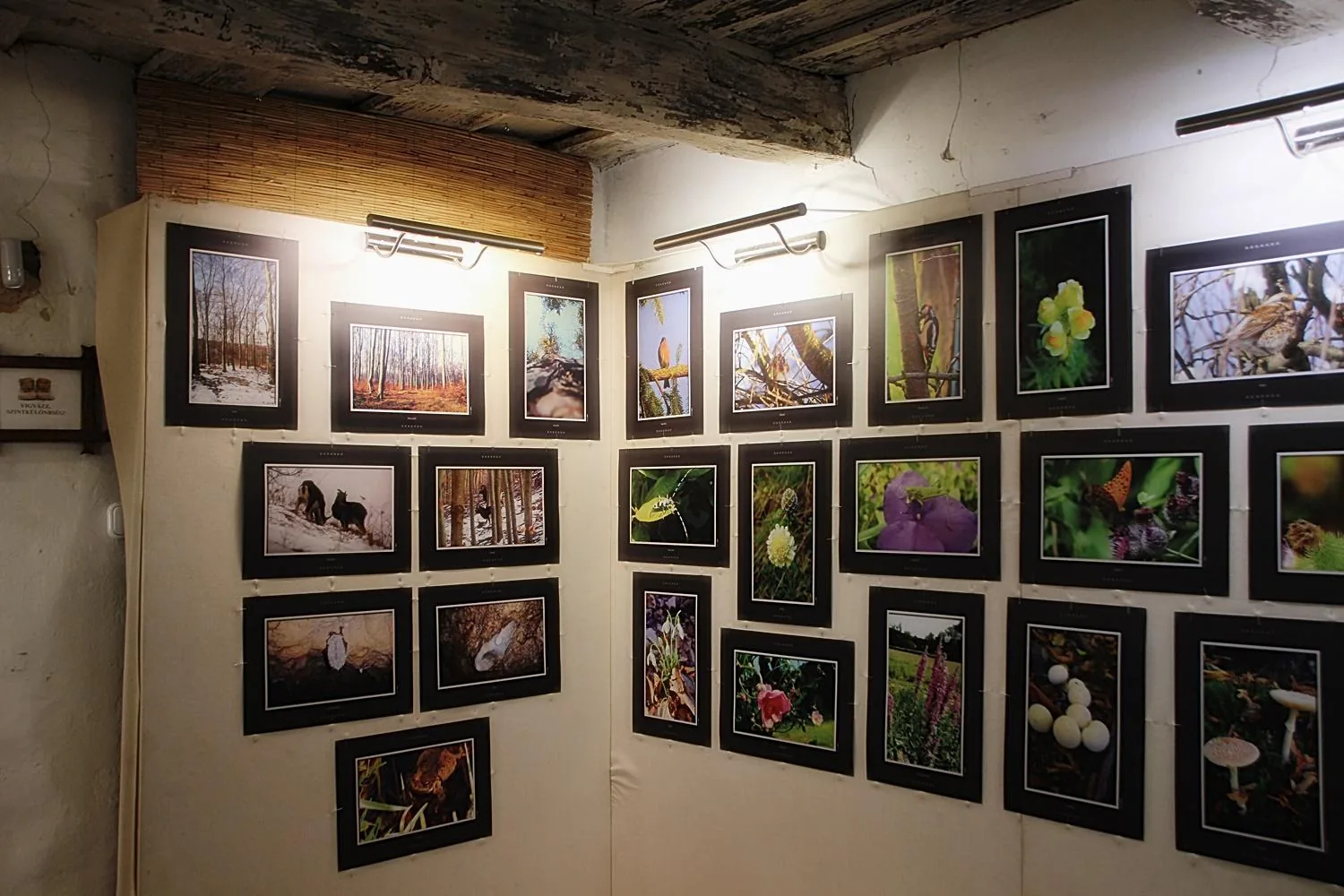 Klesitz Róbert fotókiállítás megnyitó. / Képek: Útirány.hu