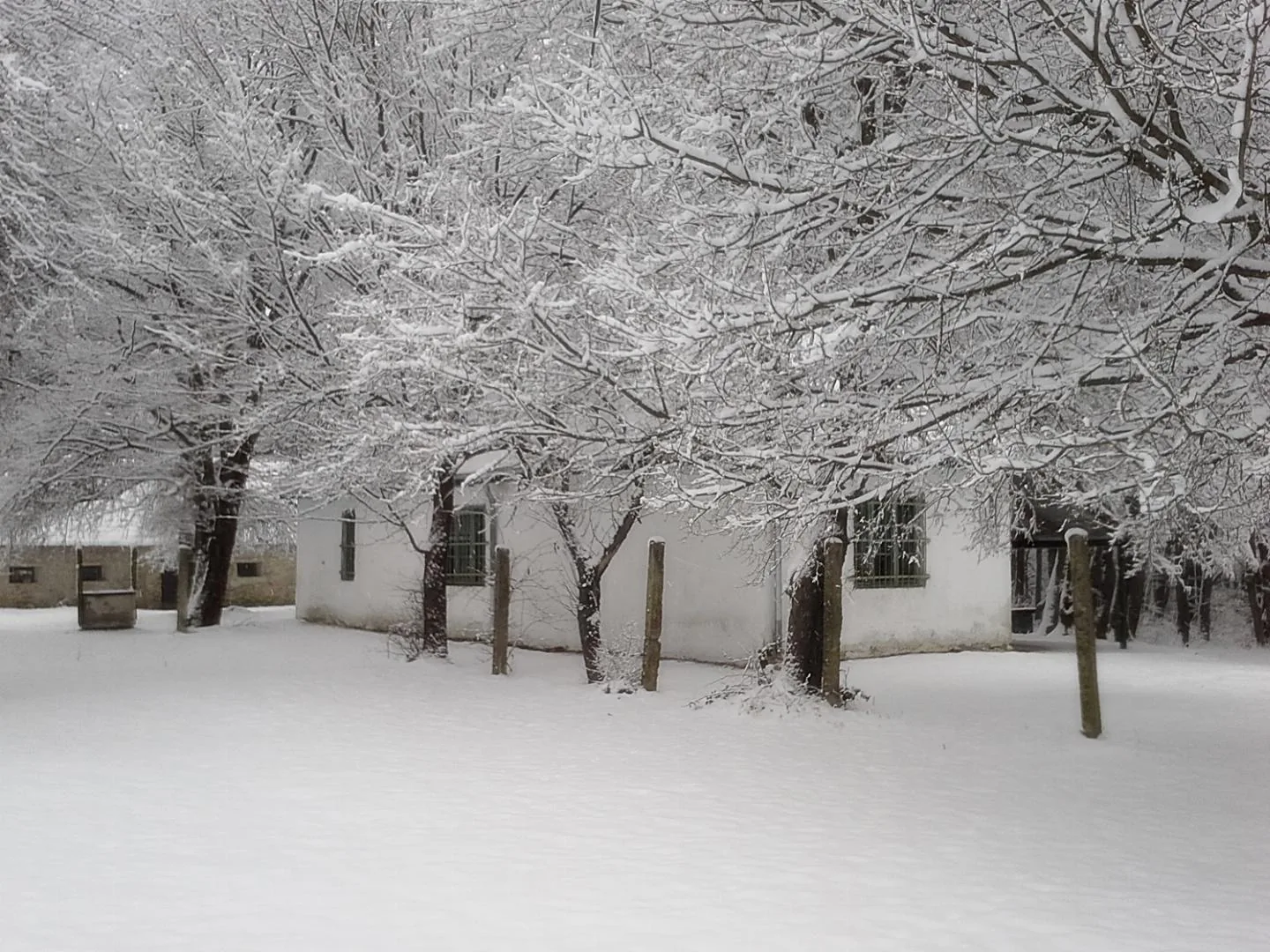 2018 tájfutás képekben