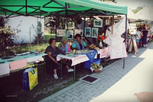 Millenniumi Falunap 2018, Képek: LuiLand