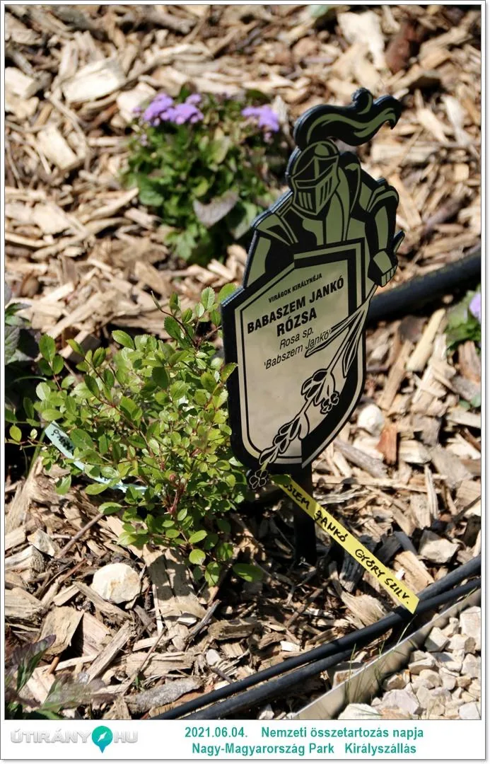 Fotók: Útirány.hu