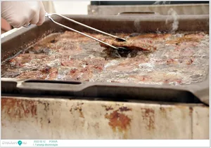 Fotók, Útirány.hu 