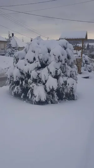 Fotó: Veinperlné Kovács Andrea