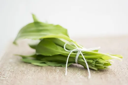 'IV. Fenyőfői Medvehagymás Családi Nap' cikk borítóképe