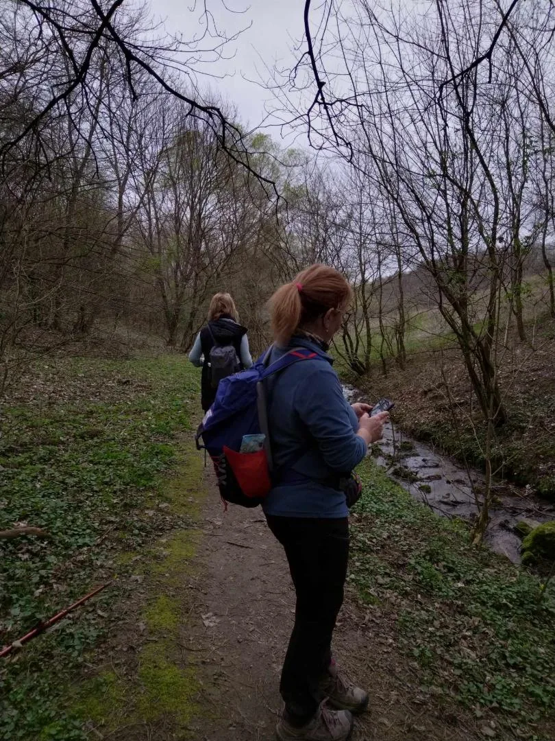 Fotók, Vadon Vándorai 