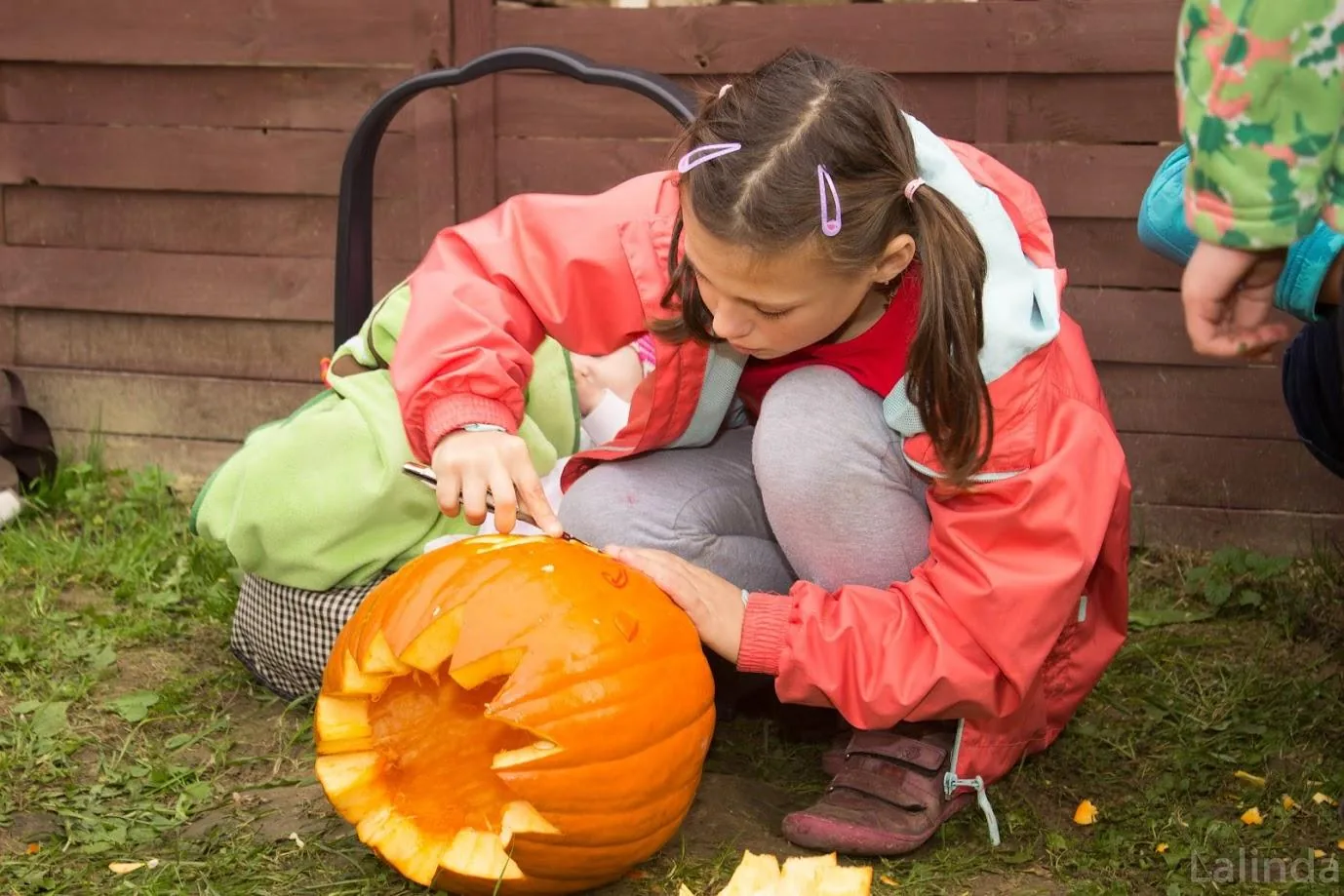 Fotók 2 album: Babai Lalinda