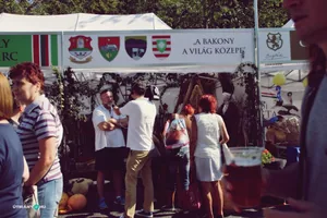 Nemzeti Vágta, Szombati képek. Fotó: Útirány.hu