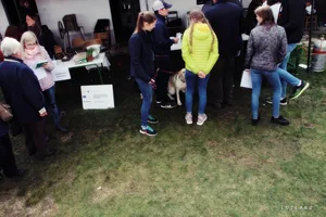 12. Medvehagymás napok. Fotók: Sárfi Lajos