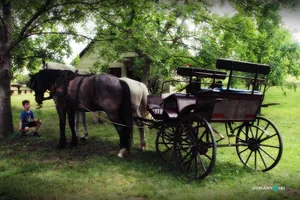 Pincefesztivál 2019 / Fotók: Útirány.hu