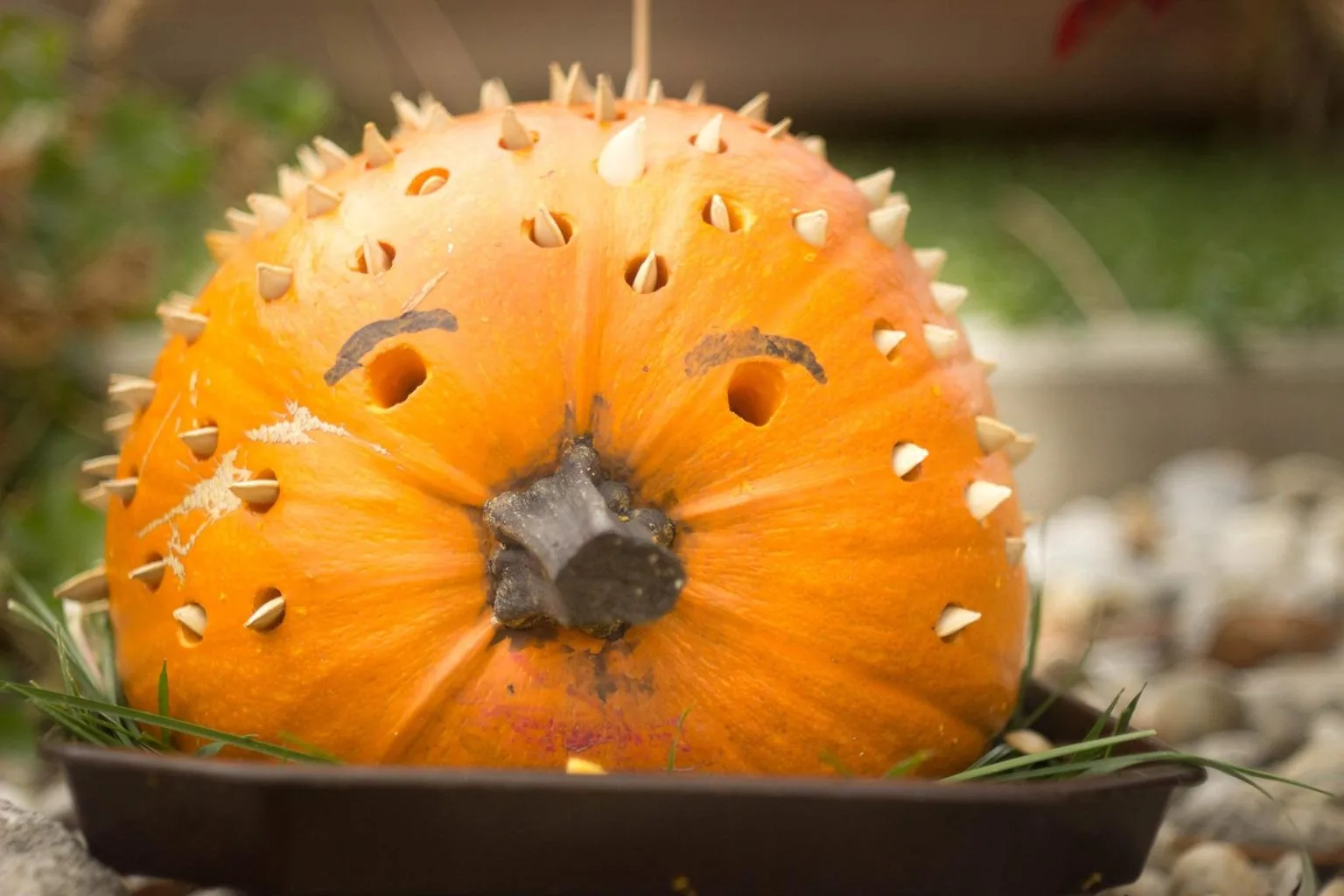 Tökfesztivál 2018. Képek: Babai Lalinda