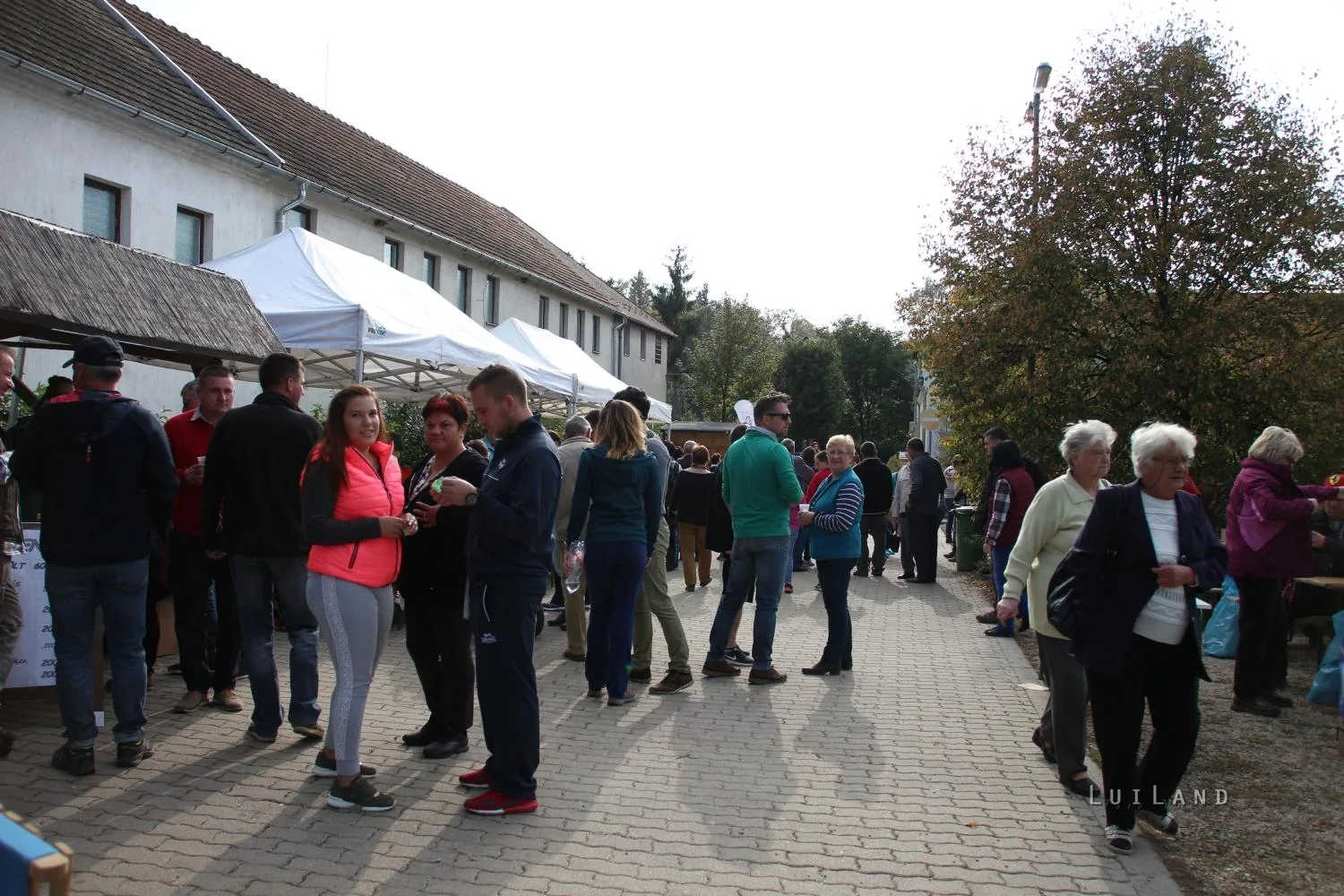Kora délután, fotók: BakonyiHírek