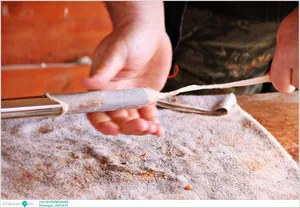 Pénzesgyőr, Falusi Disznóvágás 2025