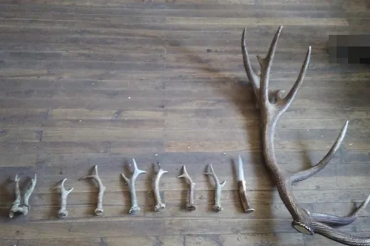 'Agancsokat gyűjtött, majd eladta' cikk borítóképe