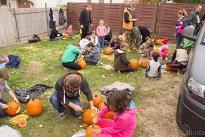 Fotók 1 album: Babai Lalinda