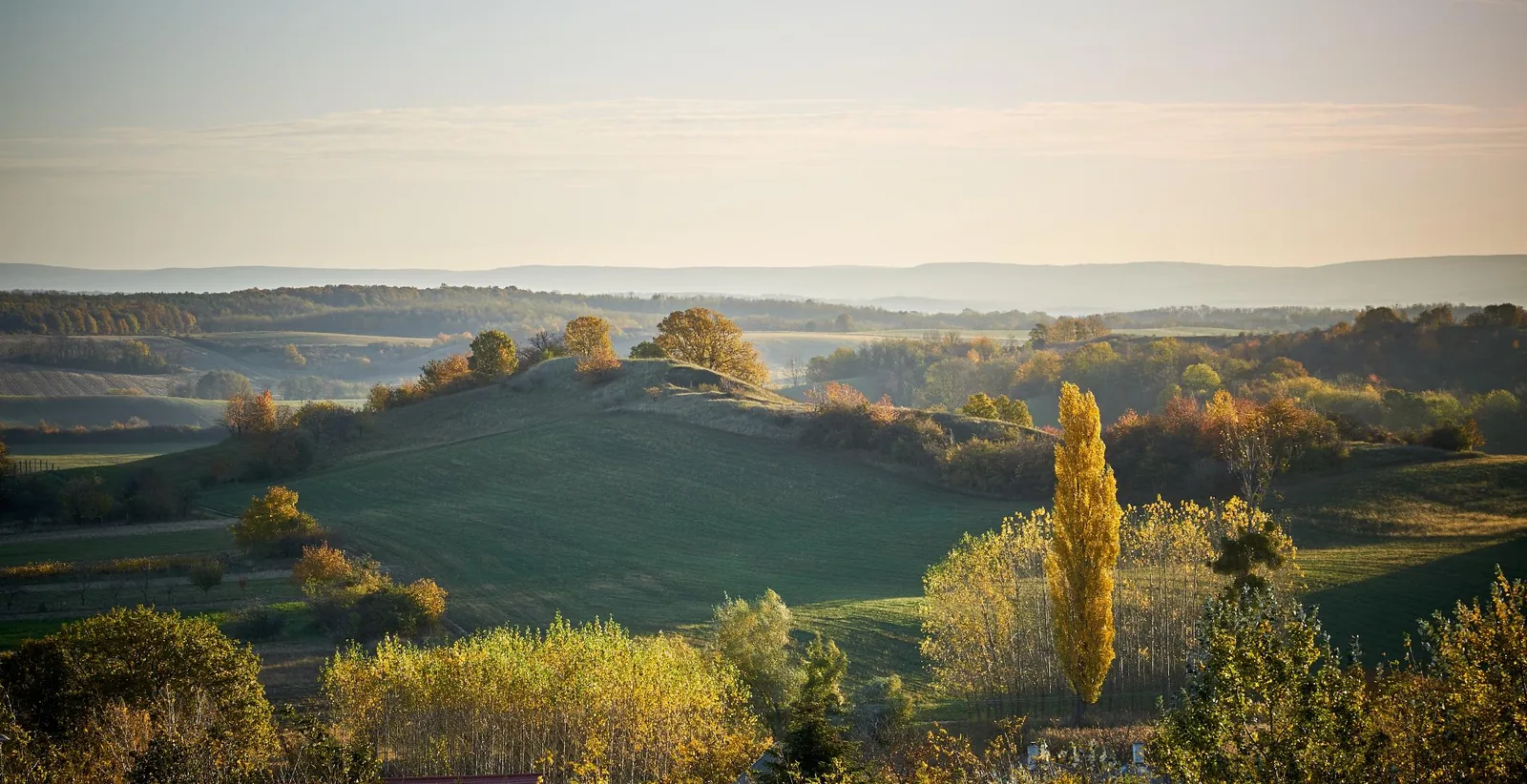 Fotók: Nánási István