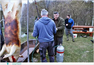 Pénzesgyőr, Falusi Disznóvágás 2025