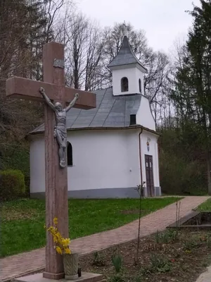 Fotók, Vadon Vándorai 