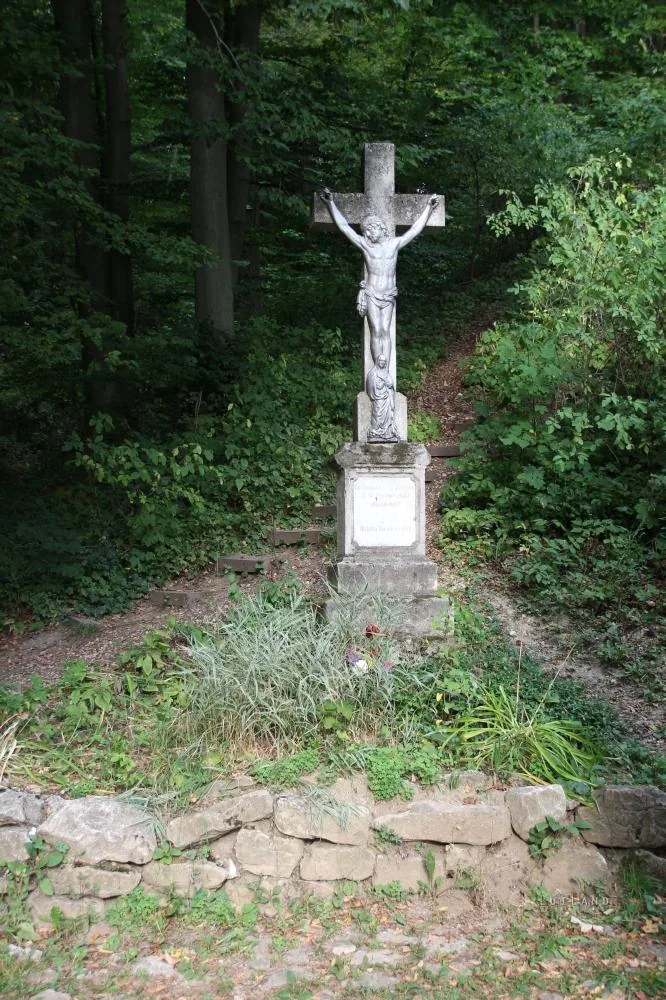 Fotók: BakonyiHírek