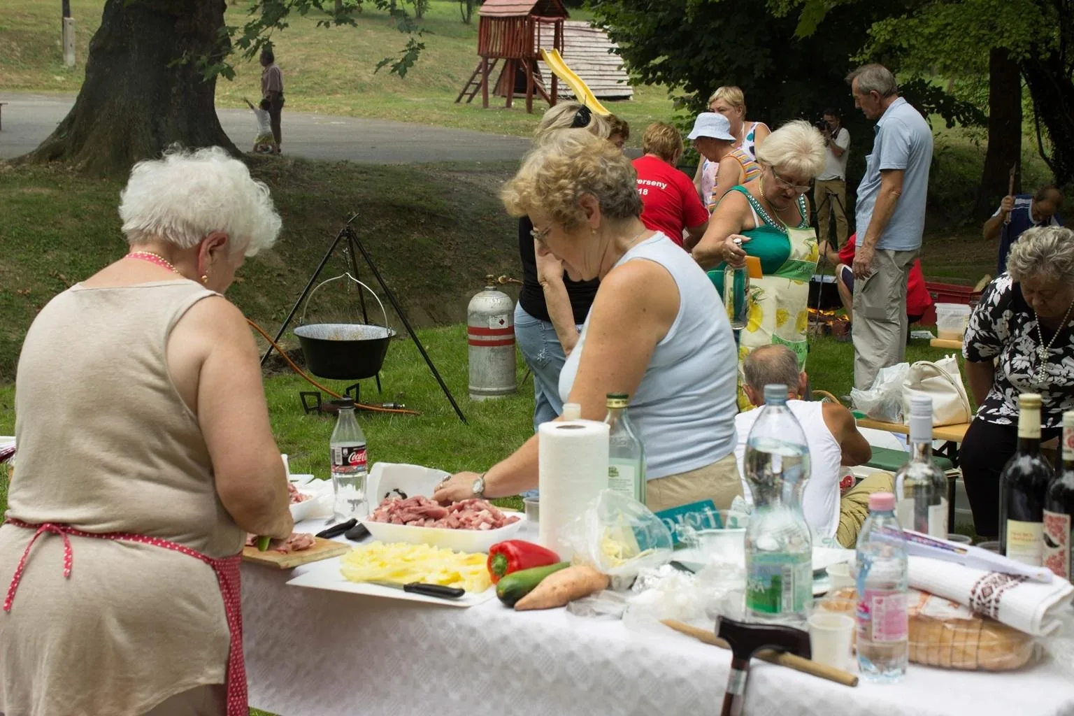 Nyárbúcsúztató főzőverseny, Fotó: Babai Lalinda