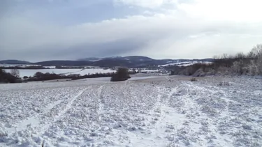 Téli Bakony, Fotók: Vilmos Weiszgerber 